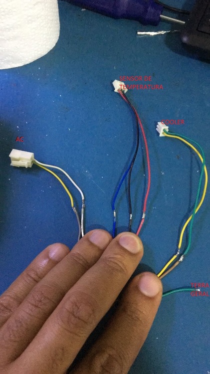 c77eee62-0943-4423-bf47-afc7bb6b2b75.jpg