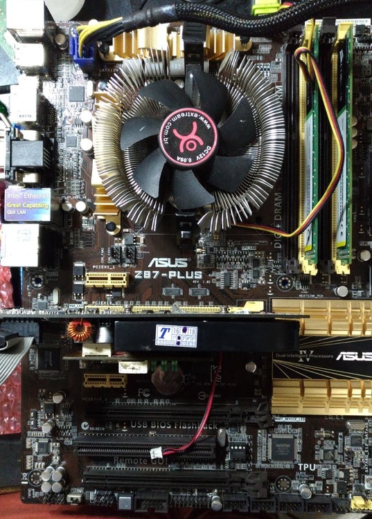 WhatsApp Image 2018-08-23 at 18.28.38.jpeg