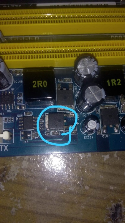 WhatsApp Image 2019-07-15 at 17.44.56.jpeg