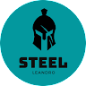 LT - STEEL