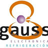 gauss electronica