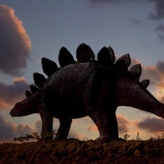 stegosaurus88