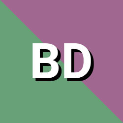 BIOS DELL- P43G 19607.bin
