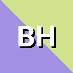 BIOS H BUSTER- 1301 2900.rom